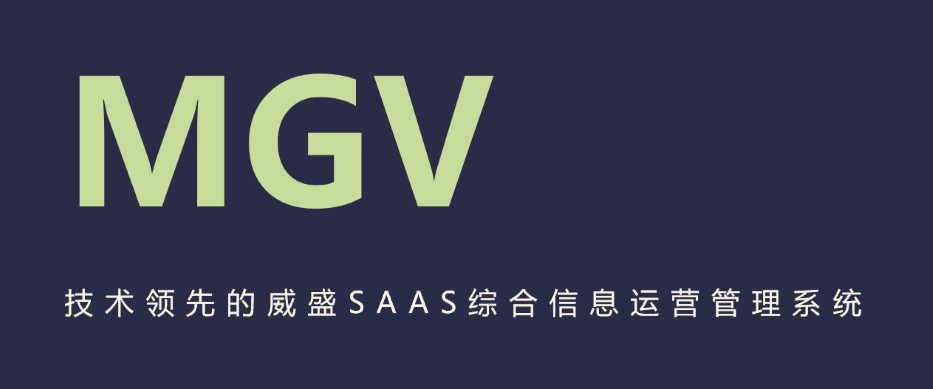 MGV信息运营管理系统